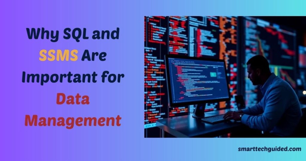 How to View Data in SQL Management